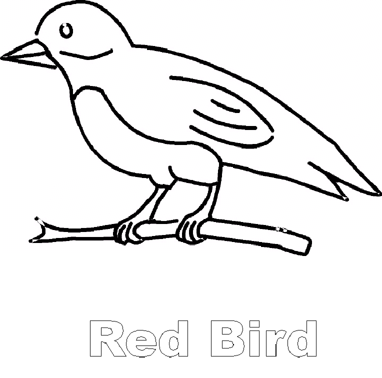 Brown Bear Red Bird Coloring Page Sketch Coloring Page